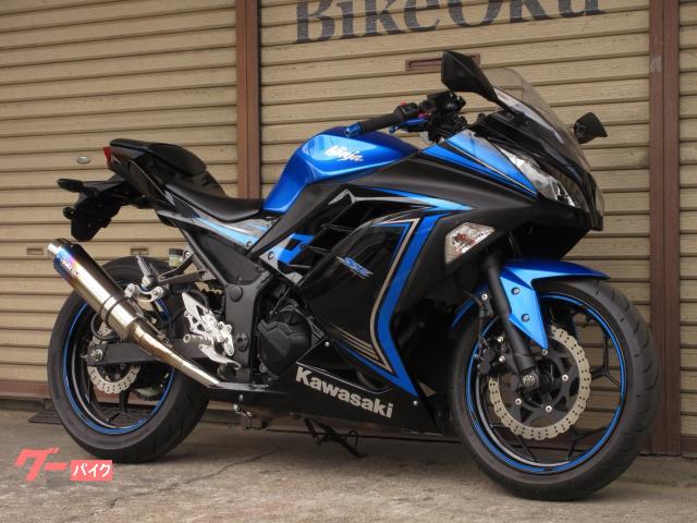 Ｎｉｎｊａ　２５０　ＥＸ２５０Ｌ　２０１５年モデル　ＷＲ’ＳマフラーＪＭＣＡ　マルチバー　バックステップ