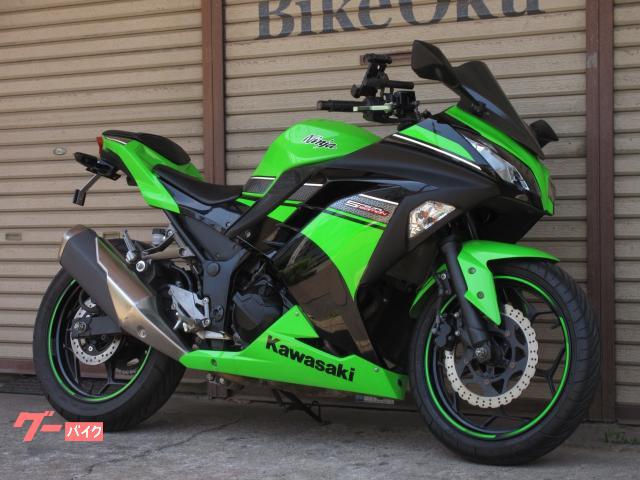 Ｎｉｎｊａ　２５０　ＥＸ２５０Ｌ　２０１３年モデル　フェンダーレス　社外スクリーン　マルチバー