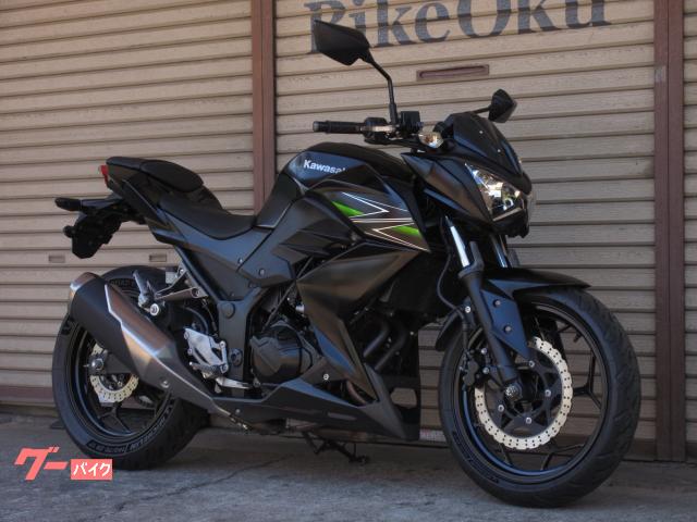 Ｚ２５０　ＥＲ２５０Ｃ　２０１３年モデル　社外レバー　社外ウインカーインジケーター