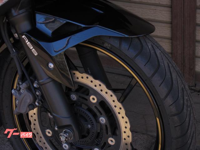 カワサキ Ninja 250 EX250P 2020年モデル 自賠責