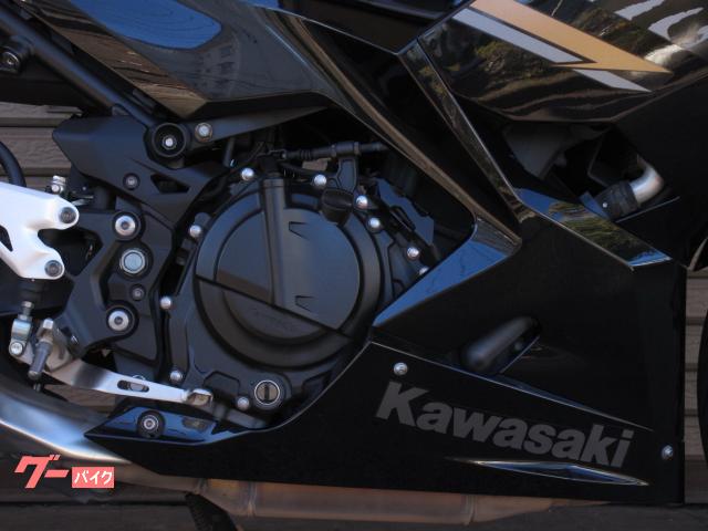カワサキ Ninja 250 EX250P 2020年モデル 自賠責