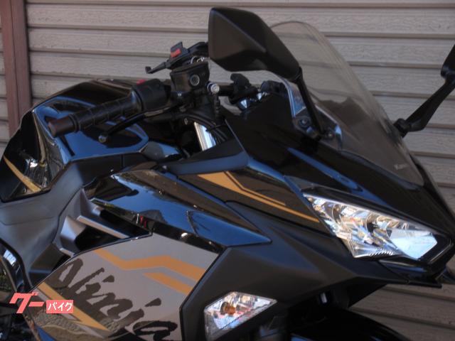 カワサキ Ninja 250 EX250P 2020年モデル 自賠責