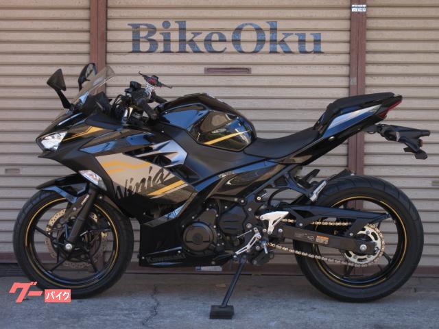 カワサキ Ninja 250 EX250P 2020年モデル 自賠責