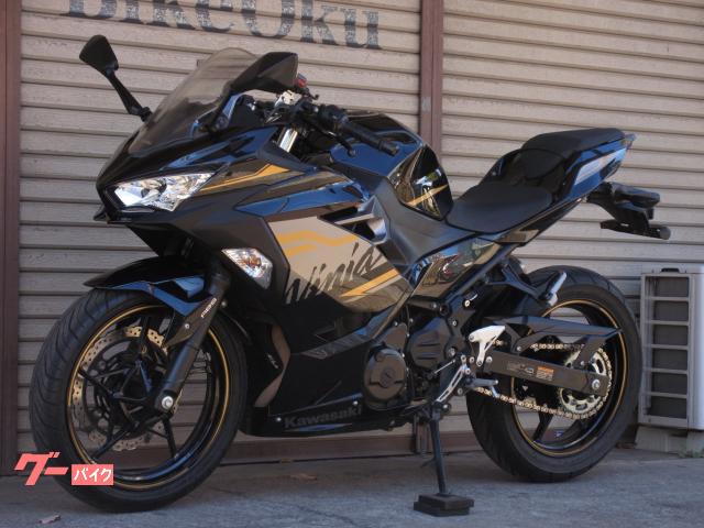 カワサキ Ninja 250 EX250P 2020年モデル 自賠責