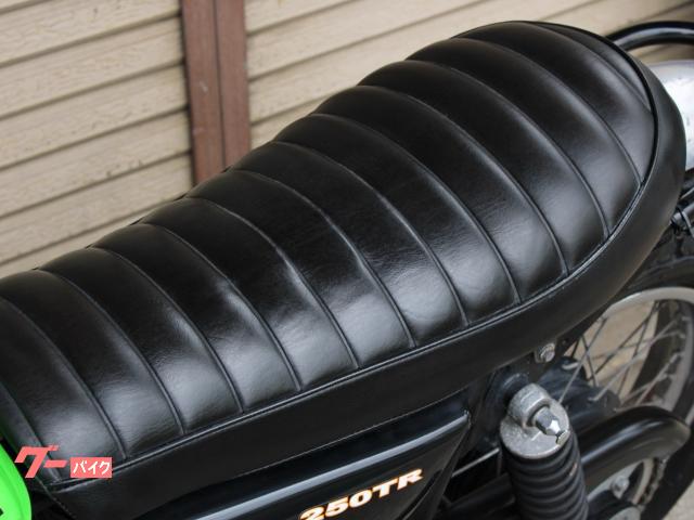 カワサキ 250TR BJ250F 2005年モデル 自賠責保険12