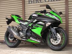 カワサキ　Ｎｉｎｊａ　２５０　スライダー付き　ＡＢＳ