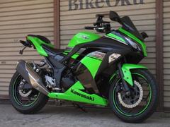 カワサキ　Ｎｉｎｊａ　２５０　ＥＸ２５０Ｌ　２０１３年モデル　フェンダーレス　社外スクリーン　マルチバー