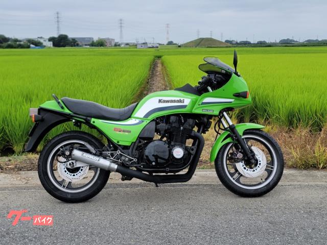 ＧＰＺ１１００　Ａ２ライムオールペン