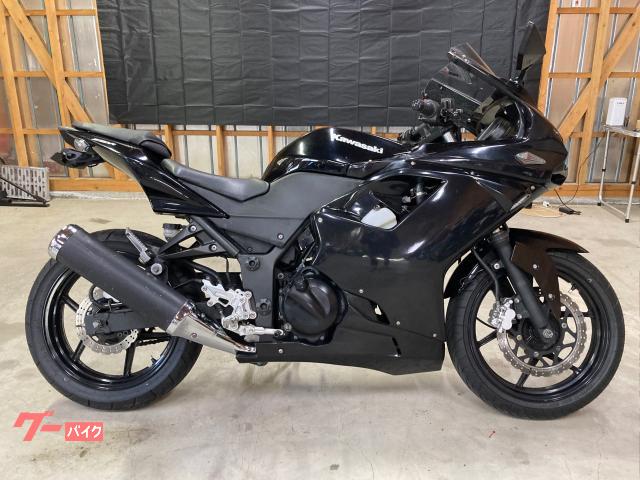 カワサキ Ninja 250R 社外2眼アッパーカウル 社外