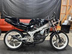 ホンダ　ＮＳ−１　ネイキッド仕様　デイトナＣＤＩリミッターカット