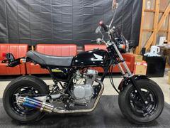ホンダ　Ａｐｅ　タケガワシリンダー　ＢＥＡＭＳチタンマフラー　ダウンフェンダーキット　ピヨピヨバイザー　ウィンドスクリーン