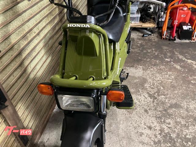 ホンダ PS250 2004年式 MF09 カムフラージュグリーン