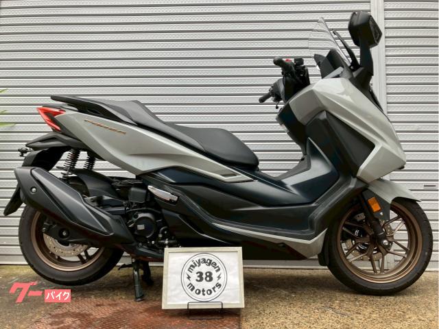 フォルツァ　２０２３年式　ＭＦ１７　ＥＴＣ　グリップヒーター　ドライブレコーダー　リアフェンダー　インジェクション　シルバー
