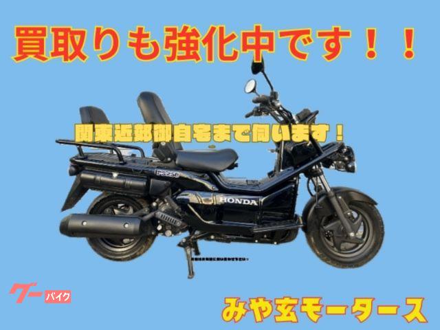 ヤマハ セロー250 DG31J 2020年式 ファイナルエディション