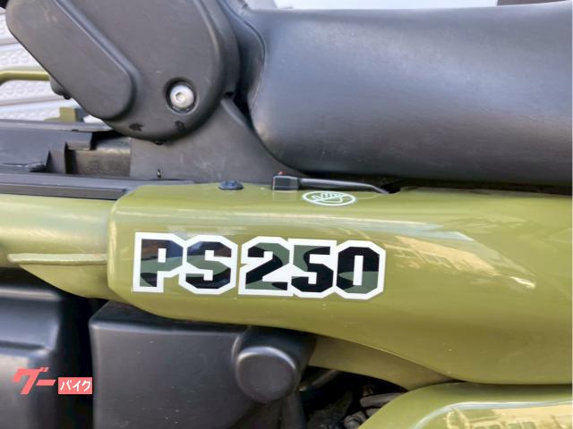 ★５０万円！PS250　後期型！2006年モデル　MF09　走行少ない！　ホンダ　PS　丸目２灯 ホンダ PS250 MF09 2006年式 セキュリティー 後期丸目二