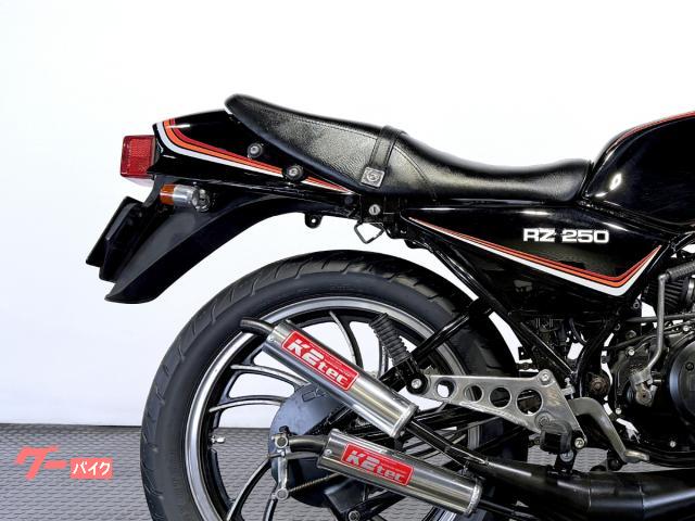 ヤマハ RZ250 前期型 350cc改 '82国内後期カラー W