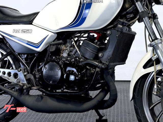 ヤマハ RZ250 前期型 Wディスク仕様 輪切りクロスチャンバー