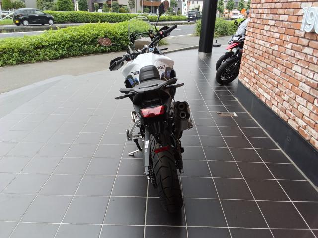 タイガー900アルパインエディション
