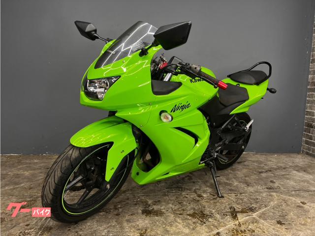 Ｎｉｎｊａ　２５０Ｒ　自賠責付き　オイル交換済み