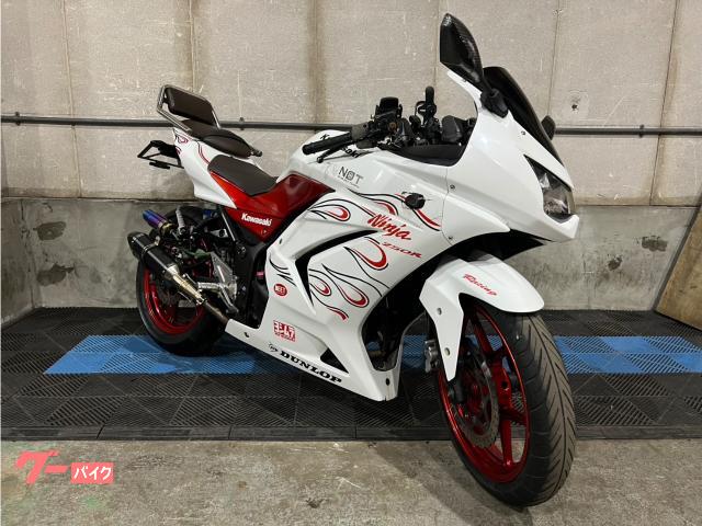 Ninja 250R 自賠責付き オイル交換済み スリップオンマフラー ファイヤーパターン