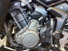 タイガースポーツ800 2026年式 認定中古車 グラファイト／サファイアブラック