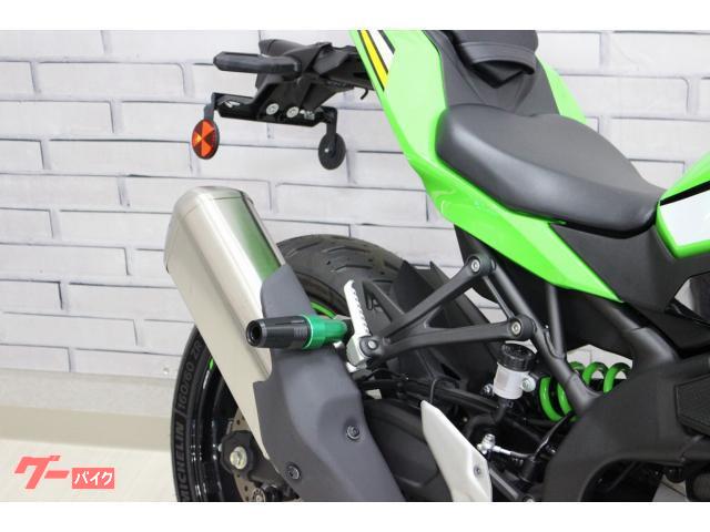 カワサキ Ninja ZX－4RR ゼログラビティスクリーン フレーム