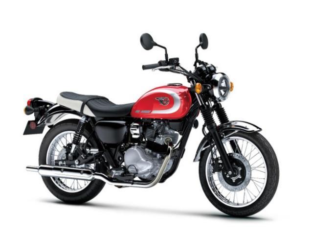 パイロゲン 12本　2026.2.7 398513.jpg?w=1600&h=900&fit=crop