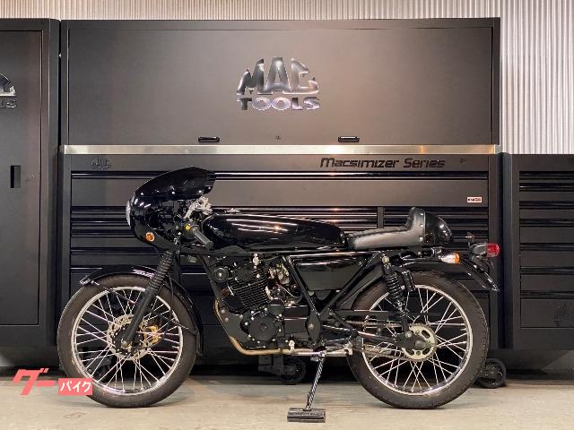 輸入車・他メーカー 中国・他車種 SkyTeam ACE125R