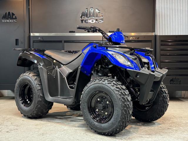 バギー ａｔｖ ｋｙｍｃｏ ｍｘｕ１５０ｘ ｇｔーａｘｅｌ 新車 中古バイクなら グーバイク