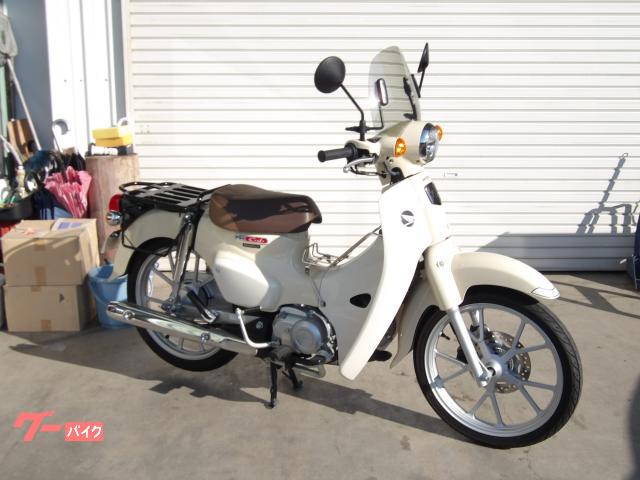 スーパーカブ１１０　令和７年１月登録　キャストホイール　センターキャリアー　グリップヒーター　風防　ＵＳＢ２口　サイドバックガード