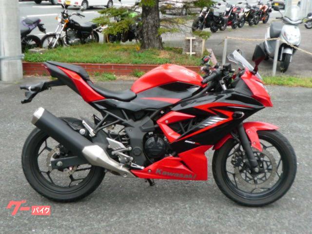 Ｎｉｎｊａ　２５０ＳＬ
