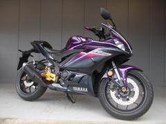 ヤマハ　ＹＺＦ−Ｒ２５　ＡＢＳ　ＰＵＲＰＬＥ＆ＰＩＮＫ　ＣＵＳＴＯＭＭＯＤＥＬ