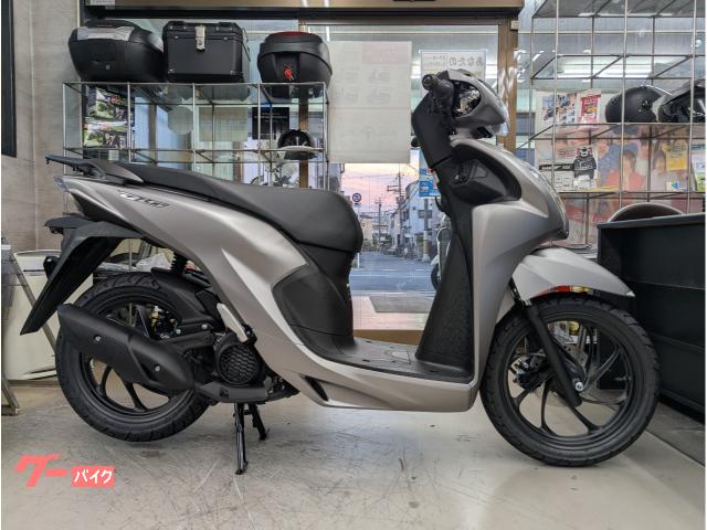 Ｄｉｏ１１０・ベーシックマットテクノシルバーメタリックＥＳＰエンジン