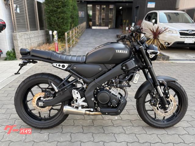 ＸＳＲ１５５　マフラーハンドルフェンレス