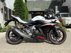 スズキ　ＧＳＸ２５０Ｒ