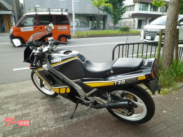 ヤマハ TZR250 1KT YSP限定カラー｜SBS ジェイズ