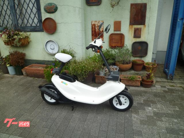 ｚｏｏｋ ホンダ 京都府のバイク一覧 新車 中古バイクなら グーバイク