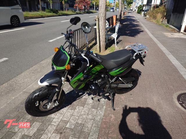 カワサキ KSR110 武川クラッチキット 武川LCDメーター リア