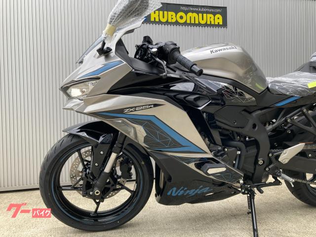 カワサキ Ninja ZX-25R SE 2024カラー|久保村 カワサキ Ninja ZX-25R SE 2024カラー|久保村
