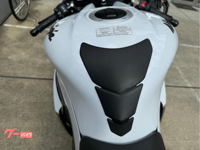 カワサキ Ninja ZX－10R アクラポビッチSO LED