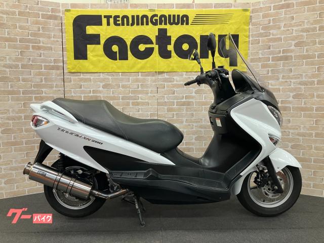 バーグマン２００　ビームスマフラー　アナログメーター　メットインライト　大型スクリーン