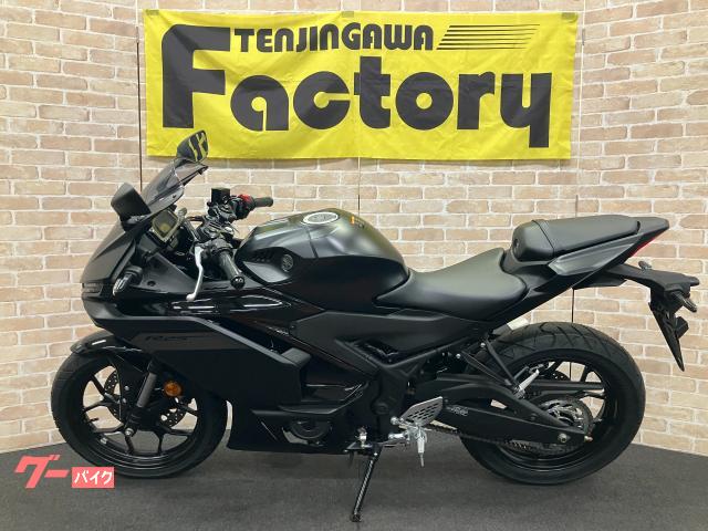 ヤマハ YZF-R25 マットダークグレー 2025年モデル アシスト ヤマハ YZF-R25 マットダークグレー 2025年モデル アシスト