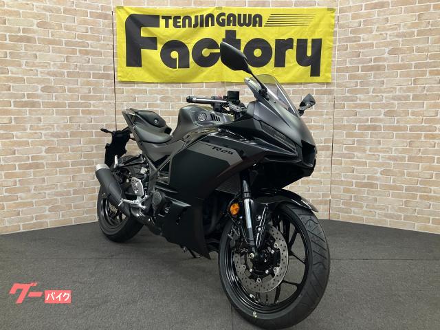 ヤマハ YZF－R25 マットダークグレー 2025年モデル アシスト
