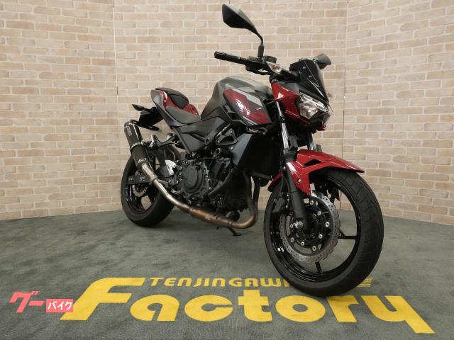 カワサキ Z250 2019年モデル キャンディーカーデイナルレッド 