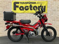 ホンダ　ＣＴ１２５ハンターカブ　　ＯＰＭＩＤメーター　ヨシムラマフラー　Ｇクラフトセンターキャリア　チェーンカバー　ライトガード等カスタム