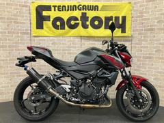 カワサキ　Ｚ２５０　２０１９年モデル　ＢＭＳ−Ｒサイレンサー