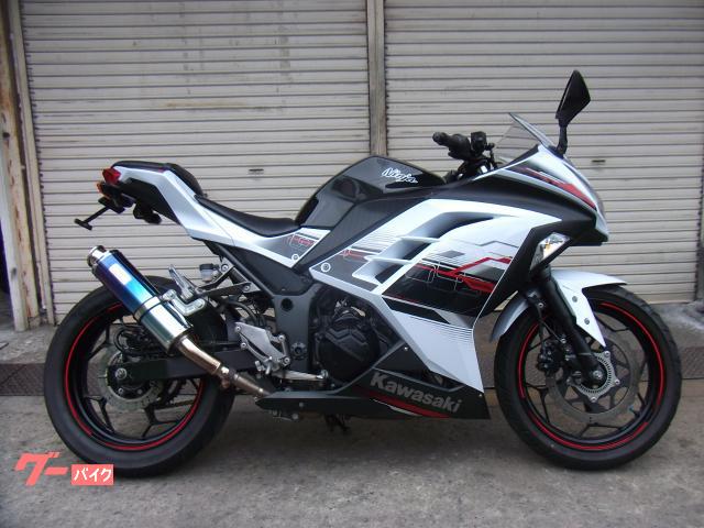 Ｎｉｎｊａ　２５０　ＡＢＳ　カスタムマフラー　フェンダーレス