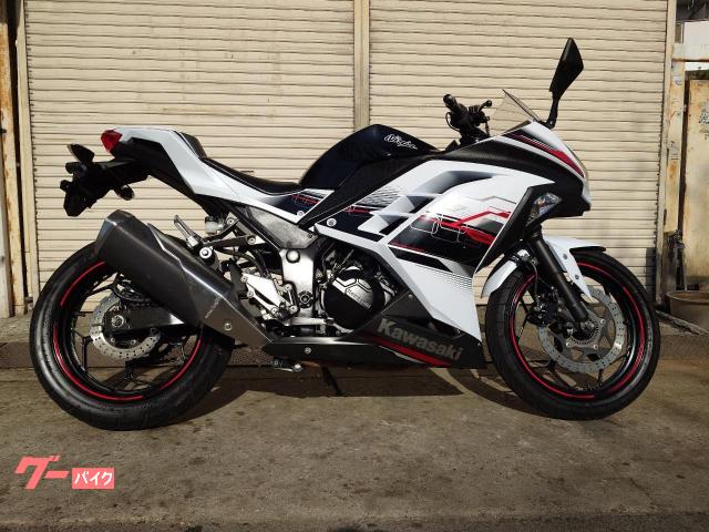 Ｎｉｎｊａ　２５０
