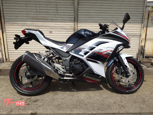 Ｎｉｎｊａ　２５０　ＡＢＳ
