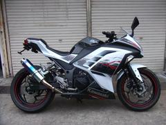カワサキ　Ｎｉｎｊａ　２５０　ＡＢＳ　カスタムマフラー　フェンダーレス